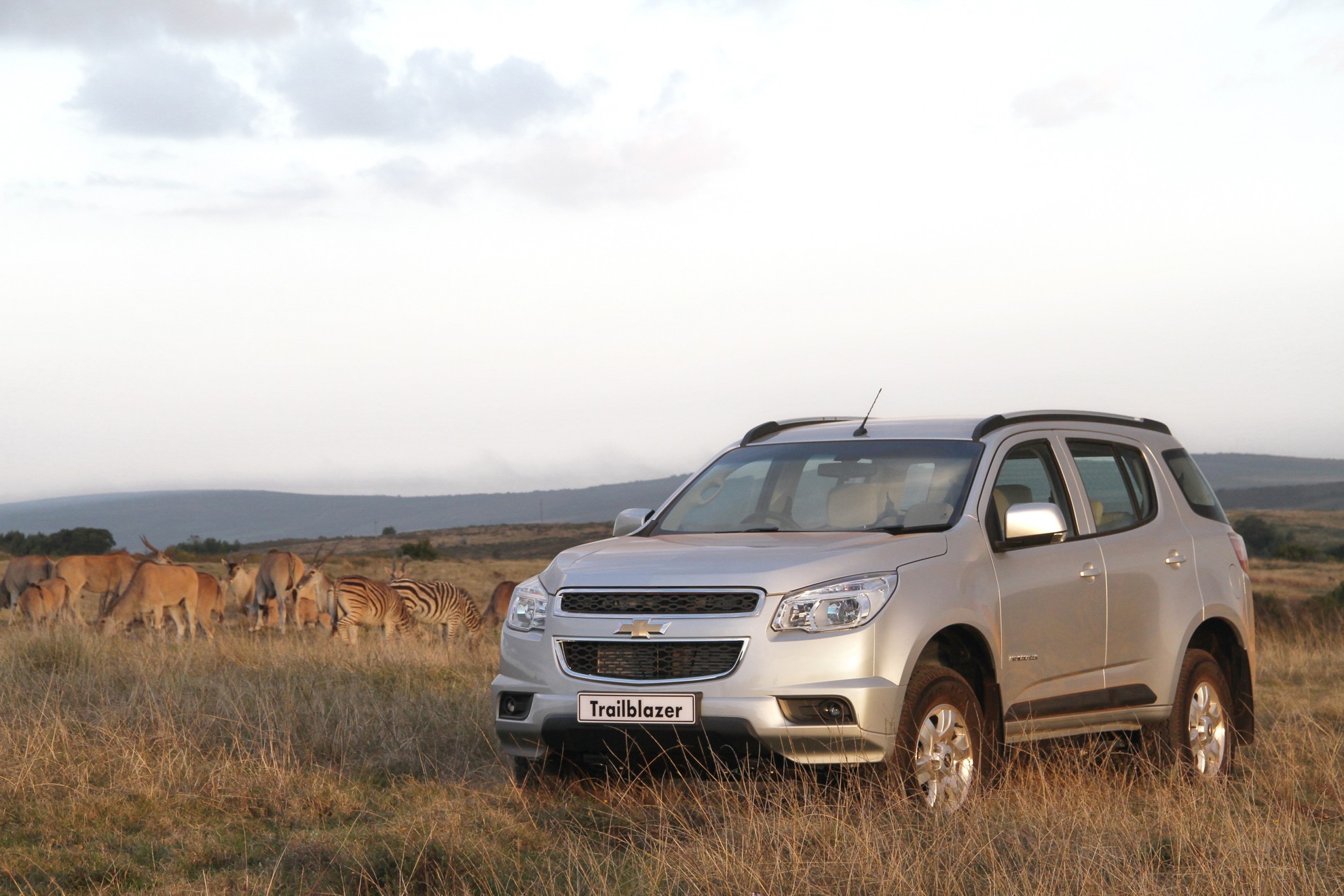 Chevrolet Trailblazer