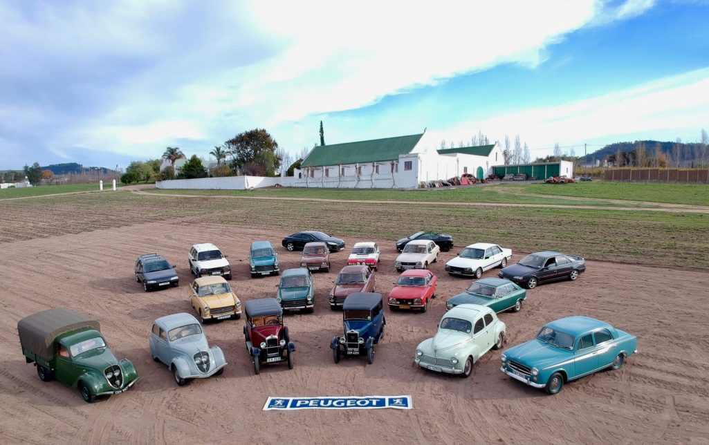 A french lion in africa