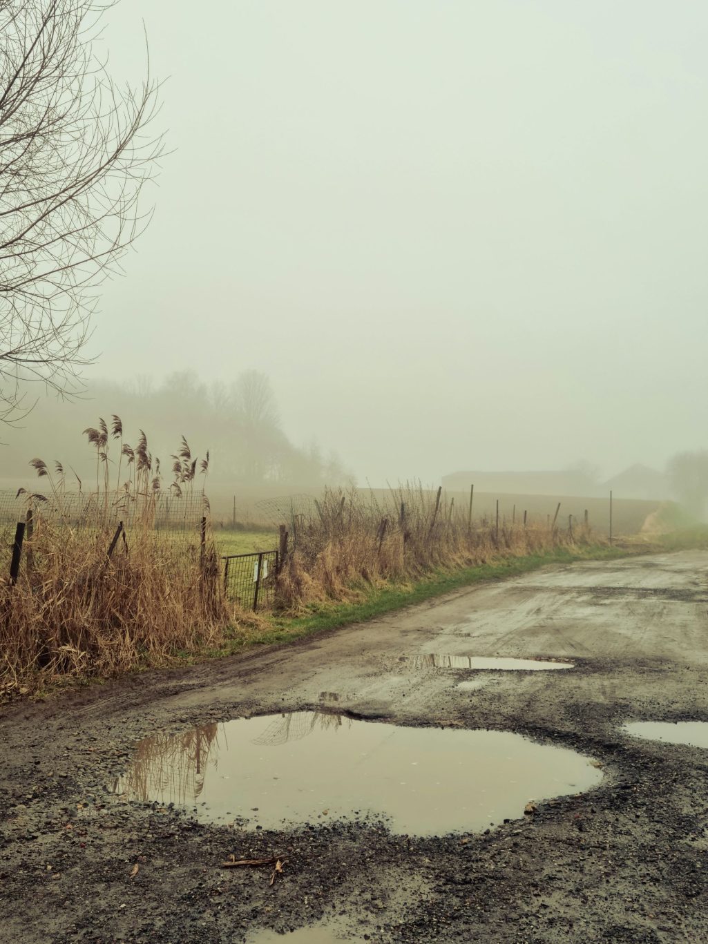 Combining killer roads and killer drivers