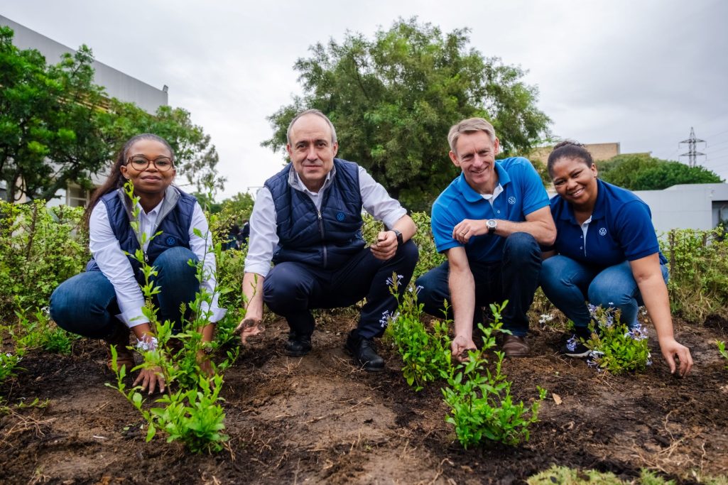 Vwga Employees Drive Biodiversity Efforts On Biodiversity Day