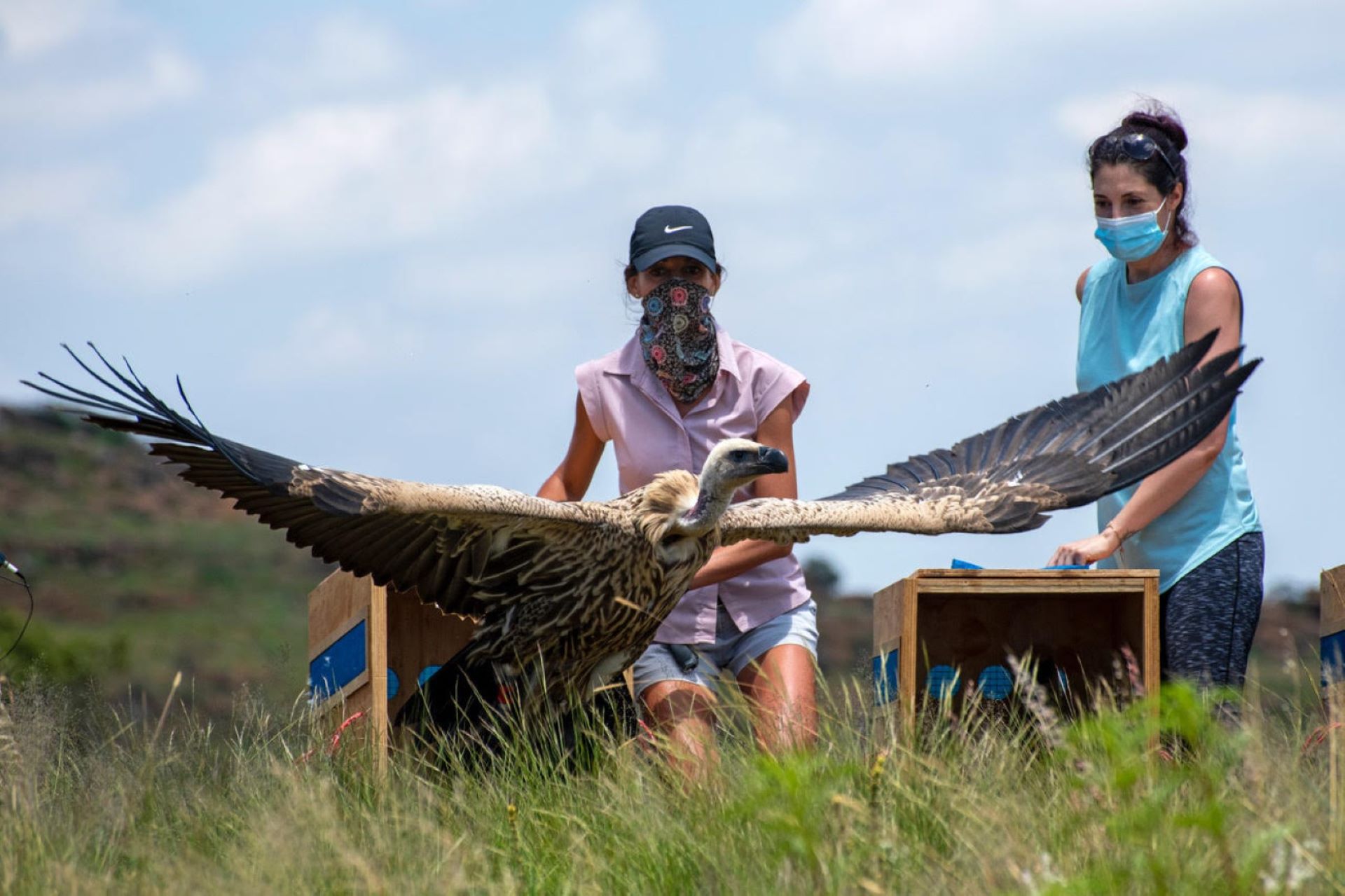 Fords Legacy Of Conservation A Commitment To Africas Biodiversity