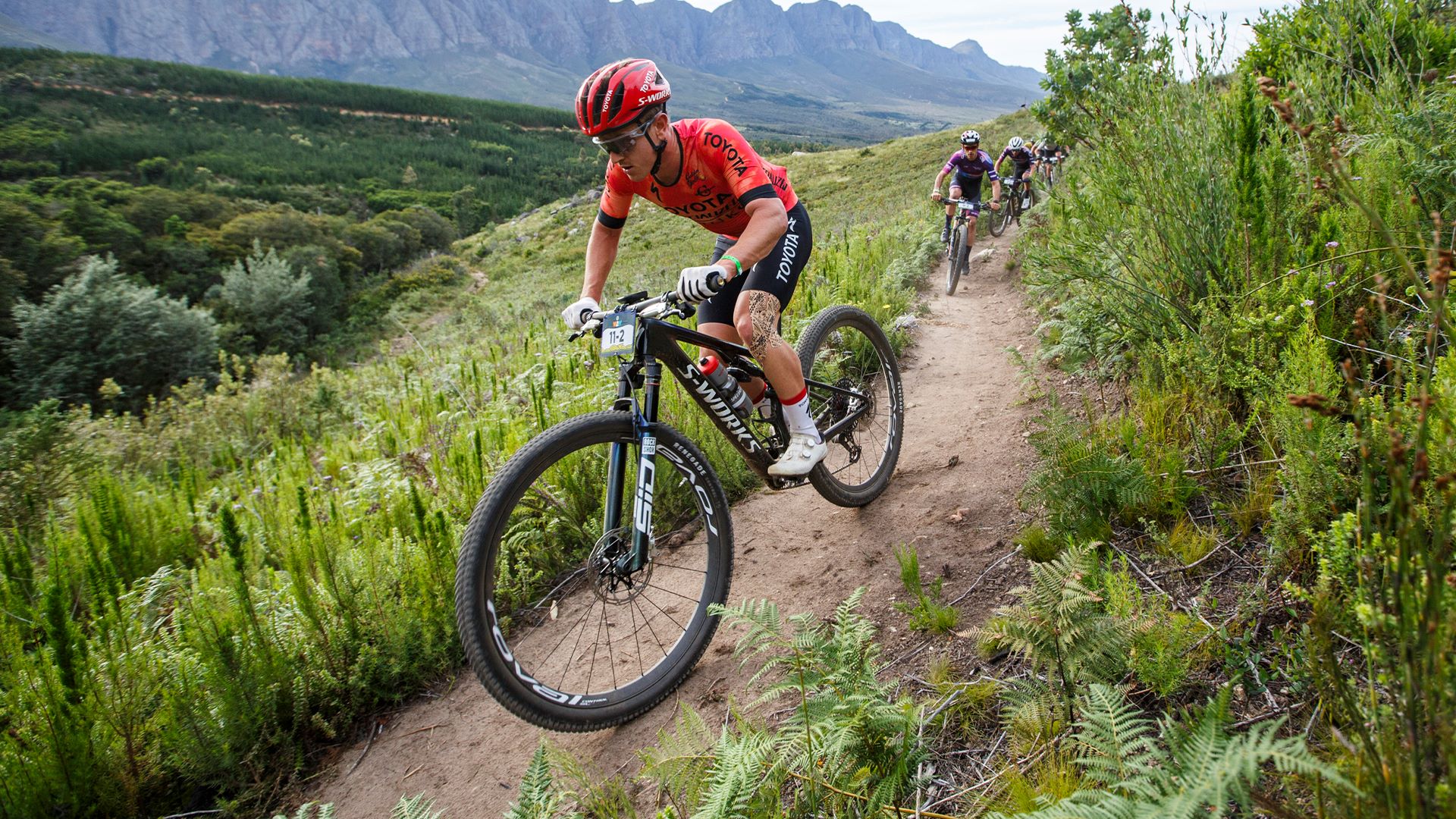 Toyota south africa powers the fnb wines2whales into its next chapter