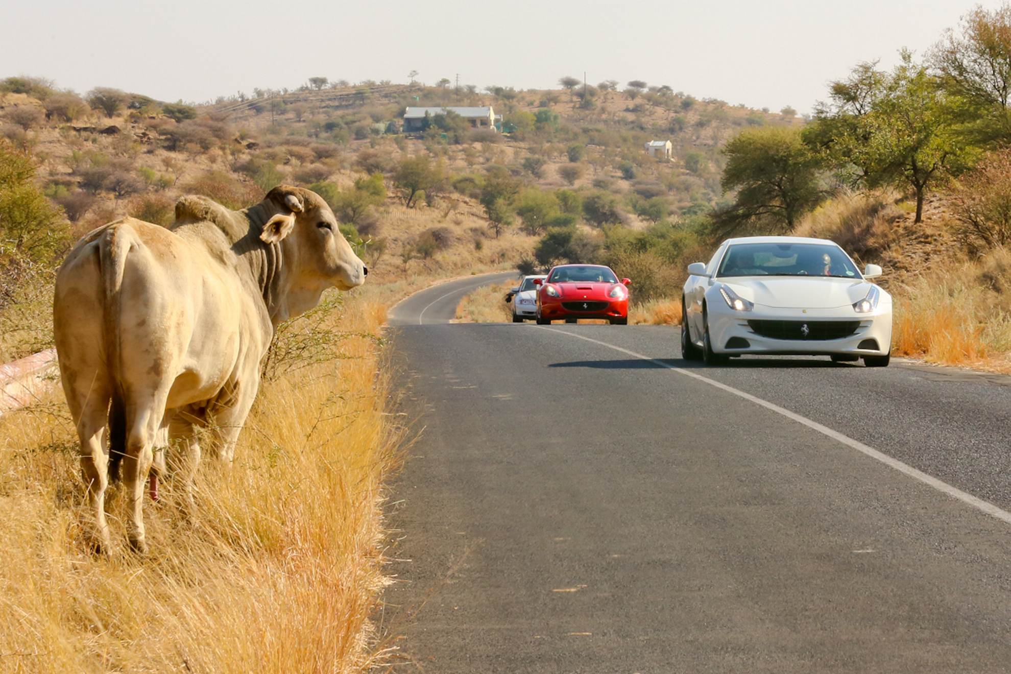 First-ever exclusive Ferrari test drive event in Namibia